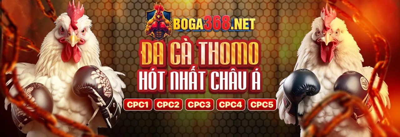 Biểu tượng Instagram